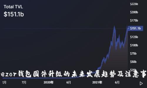 Trezor钱包固件升级的未来发展趋势及注意事项