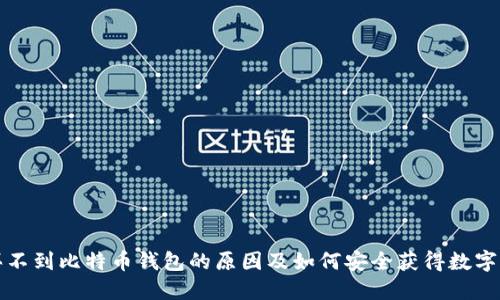 淘宝上买不到比特币钱包的原因及如何安全获得数字货币钱包