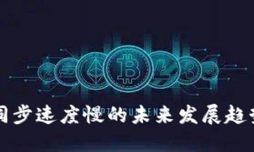 比特币钱包同步速度慢的未来发展趋势及解决方案