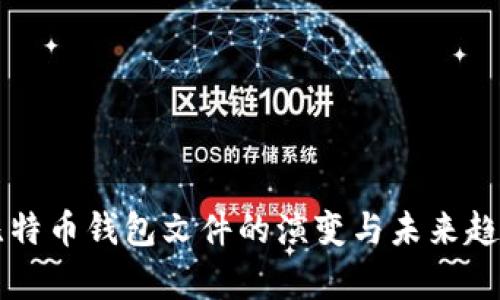 早期比特币钱包文件的演变与未来趋势分析