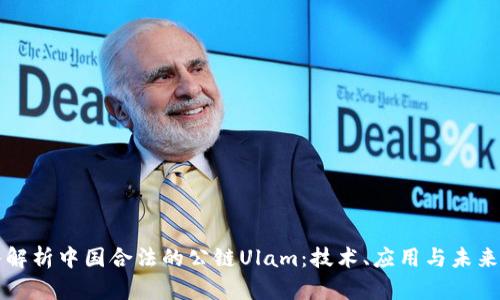 深入解析中国合法的公链Ulam：技术、应用与未来发展