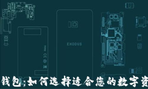 
中东比特币钱包：如何选择适合您的数字资产存储方案