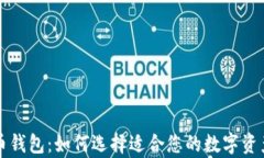 中东比特币钱包：如何选择适合您的数字资产存