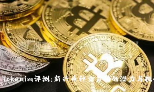 : Tokenim评测：新兴币种交易所的潜力与挑战
