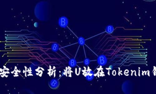 Tokenim钱包安全性分析：将U放在Tokenim钱包里可靠吗？