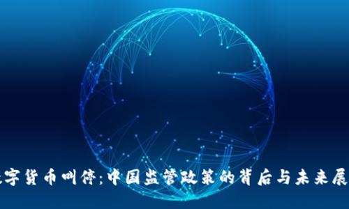 数字货币叫停：中国监管政策的背后与未来展望