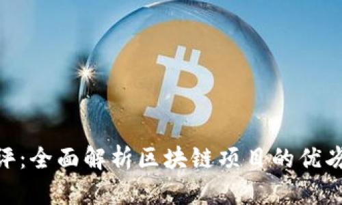 Tokenim测评：全面解析区块链项目的优劣与发展潜力