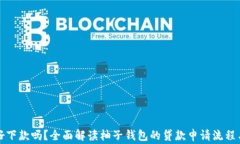 柚子钱包好下款吗？全面解读柚子钱包的贷款申