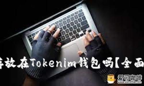 USDT可以存放在Tokenim钱包吗？全面解析与指南