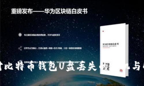 如何应对比特币钱包U盘丢失的危机与解决方案