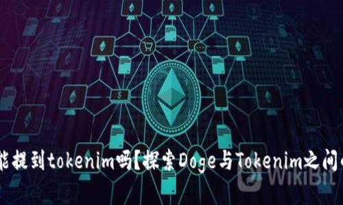 Doge能提到tokenim吗？探索Doge与Tokenim之间的关系
