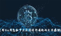 如何使用Sia钱包和节点文件进行有效的文件存储