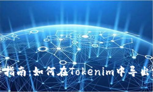 完整指南：如何在Tokenim中导出路径