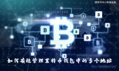 如何有效管理莱特币钱包中的多个地址