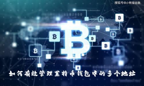 如何有效管理莱特币钱包中的多个地址