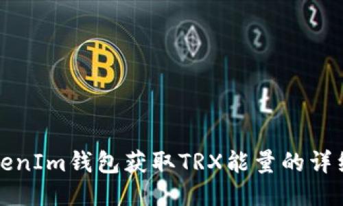 从TokenIm钱包获取TRX能量的详细指南