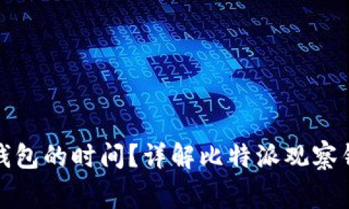 如何设置比特派观察钱包的时间？详解比特派观察钱包的步骤与注意事项