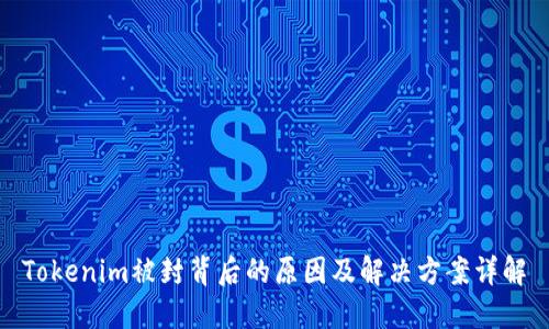Tokenim被封背后的原因及解决方案详解