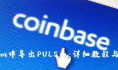 如何在Tokenim中导出PULS币：详细教程与常见问题解