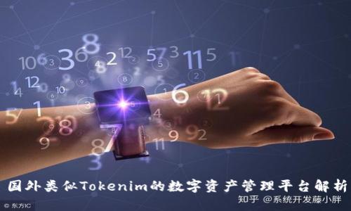 国外类似Tokenim的数字资产管理平台解析