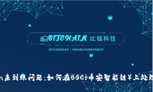 解决Token未到账问题：如何在BSC（币安智能链）上处理交易延迟