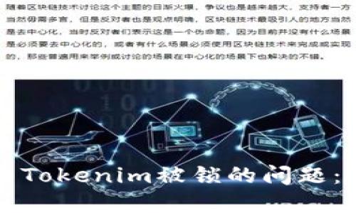 如何解决Tokenim被锁的问题：全面指南