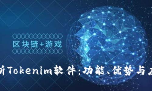 全面解析Tokenim软件：功能、优势与应用前景