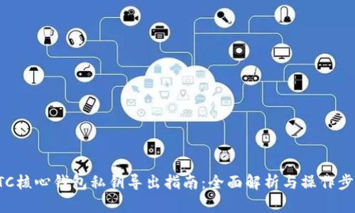 BTC核心钱包私钥导出指南：全面解析与操作步骤