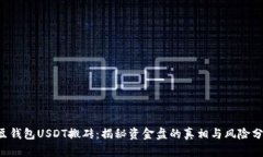 K豆钱包USDT搬砖：揭秘资金盘的真相与风险分析