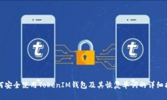 如何安全使用TokenIM钱包及其恢复单词的详细指南