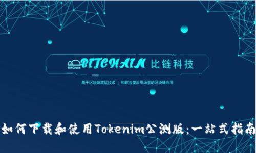 如何下载和使用Tokenim公测版：一站式指南