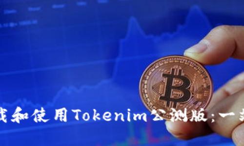 如何下载和使用Tokenim公测版：一站式指南