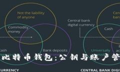 全面解析比特币钱包：公钥与账户管理的细节