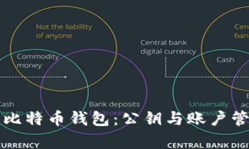全面解析比特币钱包：公钥与账户管理的细节