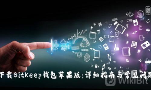 如何下载BitKeep钱包苹果版：详细指南与常见问题解答