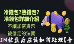 TokenIM被盗后应该如何处理？全面指南