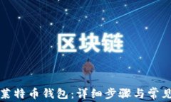 如何创建莱特币钱包：详细步骤与常见问题解答