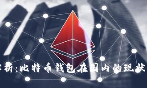 全面解析：比特币钱包在国内的现状与未来