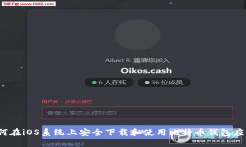 如何在iOS系统上安全下载和使用比特币钱包应用？