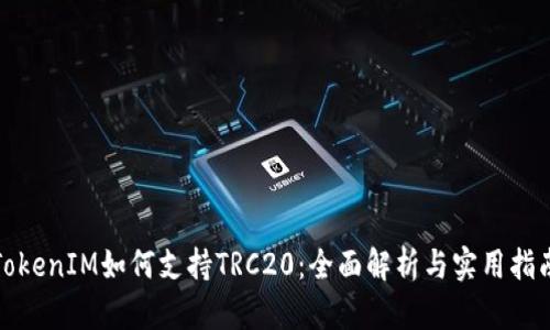 TokenIM如何支持TRC20：全面解析与实用指南
