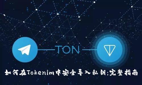 如何在Tokenim中安全导入私钥：完整指南