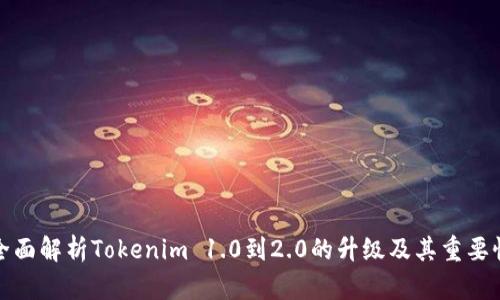 全面解析Tokenim 1.0到2.0的升级及其重要性