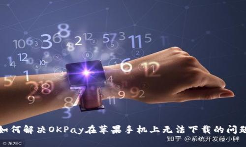 如何解决OKPay在苹果手机上无法下载的问题