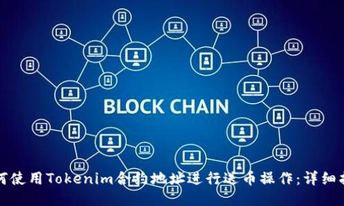 如何使用Tokenim合约地址进行送币操作：详细指南