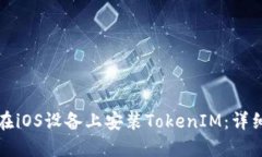 如何在iOS设备上安装TokenIM：详细指南
