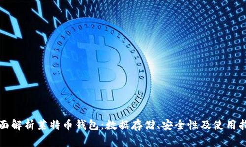 全面解析莱特币钱包：数据存储、安全性及使用指南
