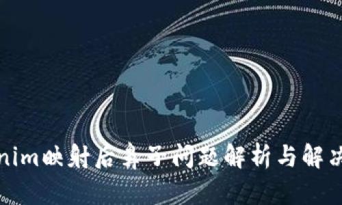 Tokenim映射后鼻子问题解析与解决方案